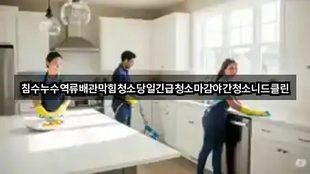 침수누수역류배관막힘청소당일긴급청소마감야간청소니드클린