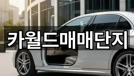 동구 동호동 중고차 상세 안내 5곳