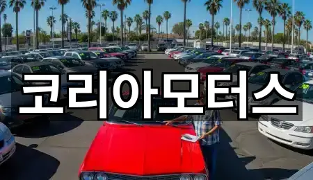 부산광역시 사하구 당리동 중고차 즉시 찾기 5곳