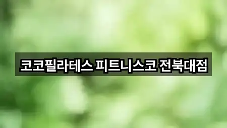 지도 링크 모음: 전북특별자치도 전주시 덕진구 팔복동1가 필라테스 5곳