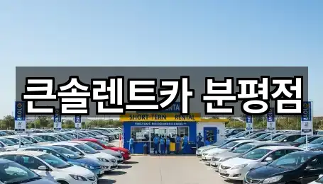 큰솔렌트카 분평점