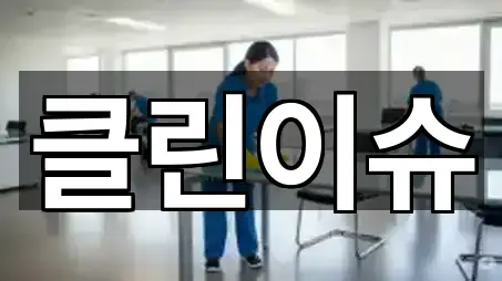 클린이슈