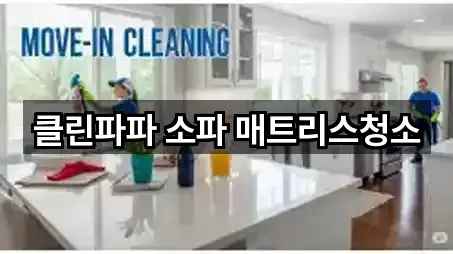 제주 제주시 도평동 청소 기본 정보 5곳