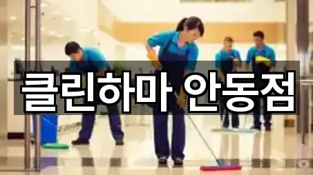 네비 연동 | 경상북도 송현동 청소 5곳