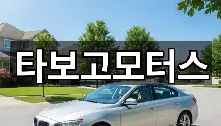 서울 서초구 내곡동 중고차 상세 안내 4곳