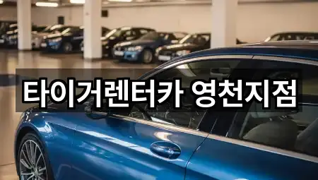 타이거렌터카 영천지점