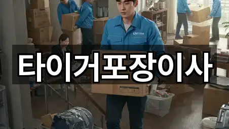 전라남도 강진군 강진읍 포장이사 2곳 즉시 확인