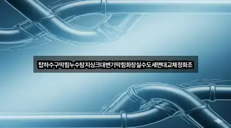 탑하수구막힘누수탐지싱크대변기막힘화장실수도세면대교체정화조