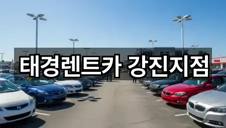 1곳의 전남 군동면 렌트카 위치 확인