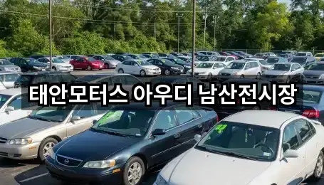 도보 길찾기 | 서울 중구 필동3가 자동차전시장 4곳