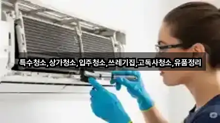 지도 링크 모음: 서울특별시 도렴동 청소업체 5곳