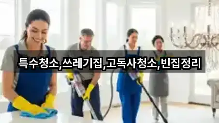 곡성군 입면 청소업체 맞춤 추천 4곳
