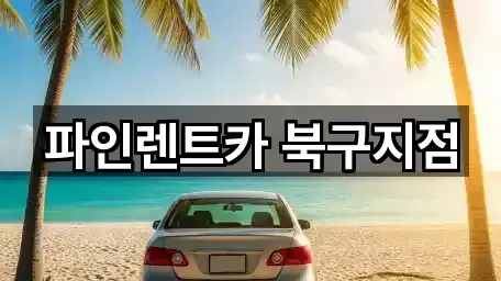 파인렌트카 북구지점