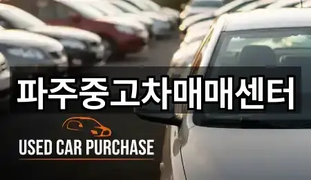 아카이브 | 경기도 교하동 중고차 5곳