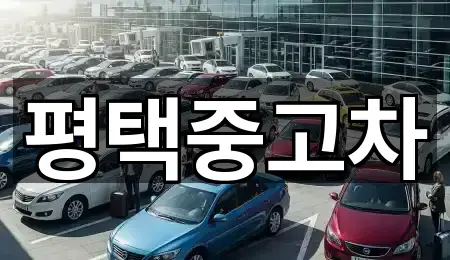 예약 가능한 평택 서탄면 중고차 5곳