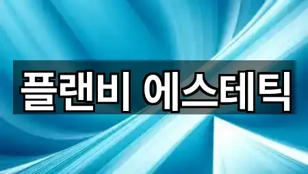 플랜비 에스테틱