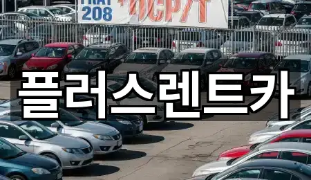 경상남도 김해시 동상동 장기렌트카 3곳 위치 모아보기