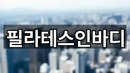 필라테스인바디