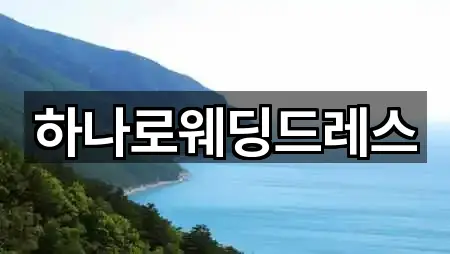 하나로웨딩드레스