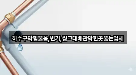 하수구막힘뚫음,변기,씽크대배관막힌곳뚫는업체