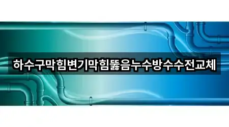 하수구막힘변기막힘뚫음누수방수수전교체