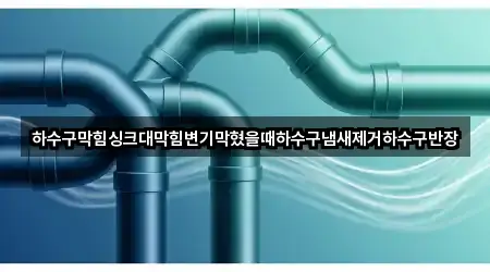 하수구막힘싱크대막힘변기막혔을때하수구냄새제거하수구반장