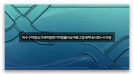 하수구막힘싱크대막힘변기막힘뚫어요역류고압세척내시경누수의왕