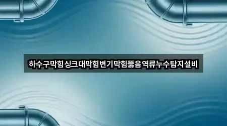 하수구막힘싱크대막힘변기막힘뚫음역류누수탐지설비