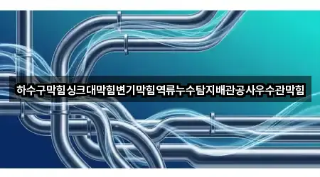 하수구막힘싱크대막힘변기막힘역류누수탐지배관공사우수관막힘