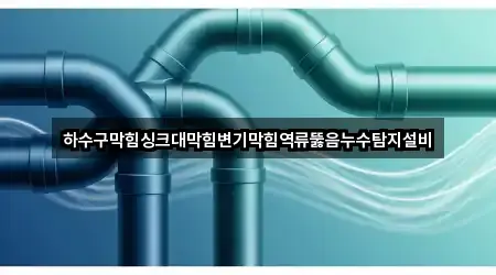 경기도 안양시 만안구 안양동 변기막힘 필수 정보 2곳