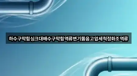 하수구막힘싱크대배수구막힘역류변기뚫음고압세척정화조역류