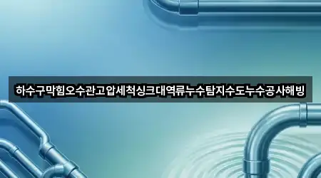 하수구막힘오수관고압세척싱크대역류누수탐지수도누수공사해빙