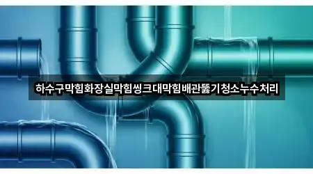 하수구막힘화장실막힘씽크대막힘배관뚫기청소누수처리