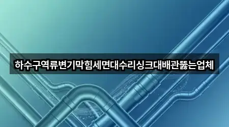 하수구역류변기막힘세면대수리싱크대배관뚫는업체