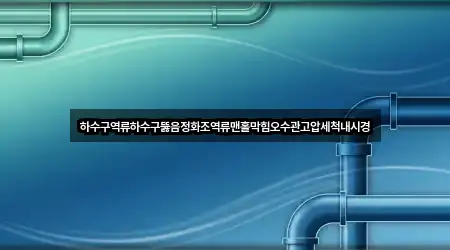 하수구역류하수구뚫음정화조역류맨홀막힘오수관고압세척내시경