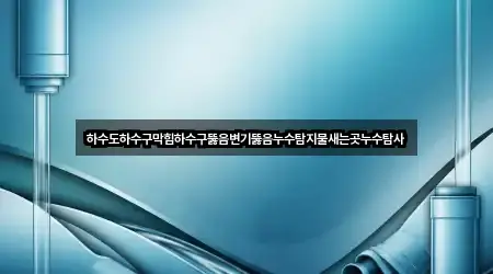 하수도하수구막힘하수구뚫음변기뚫음누수탐지물새는곳누수탐사