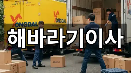 전북특별자치도 정읍시 신정동 이사 4곳 지도 확인