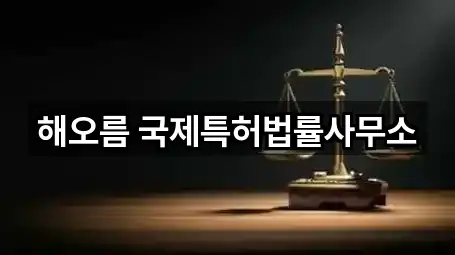 해오름 국제특허법률사무소