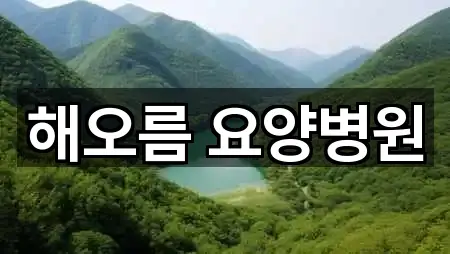 해오름 요양병원