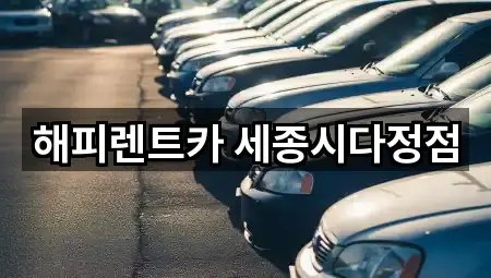 세종특별자치시 다정동 렌트카 5곳 바로 보기