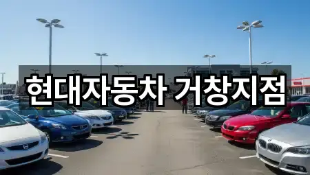 위치 브리핑: 경상남도 거창군 거창읍 자동차전시장 2곳