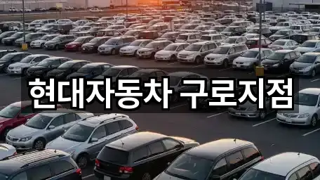 서울 문래동4가 자동차전시장 주소만 모아보기 2건