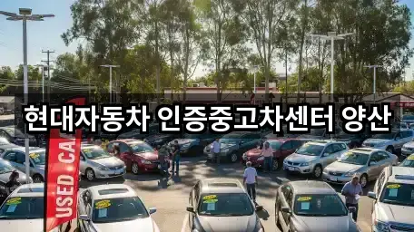 울주군 삼동면 중고차 전화 문의 3곳