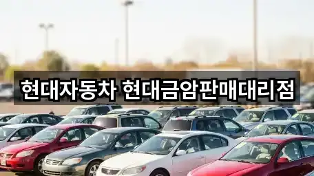 전북 용진읍 자동차전시장 3곳 | 종합 안내