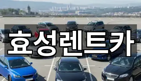 충청북도 충주 단월동렌트카 1곳 즉시 확인