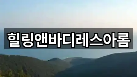 힐링앤바디레스아롬