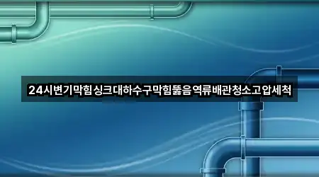 전북 진산동 변기막힘 지도 체크 4곳