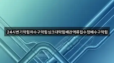 24시변기막힘하수구막힘싱크대막힘배관역류집수정배수구막힘