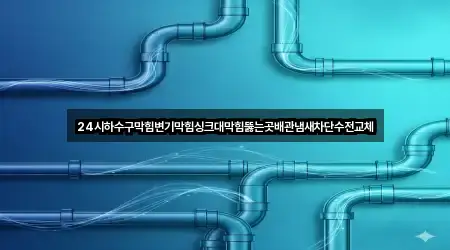 24시하수구막힘변기막힘싱크대막힘뚫는곳배관냄새차단수전교체