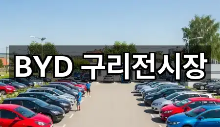 경기 구리시 사노동 자동차전시장 추천 목록 1곳